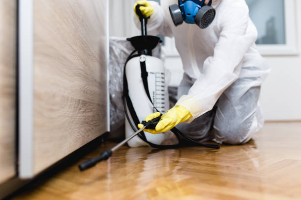 Best Best Pest Control Companies  in Lake St Louis, MO
