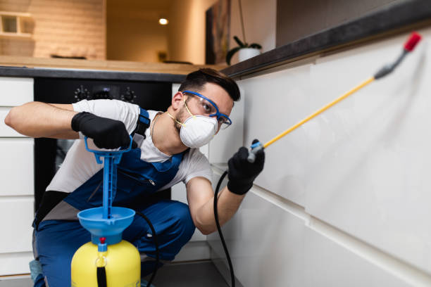 Best Flea Control Services  in Lake St Louis, MO