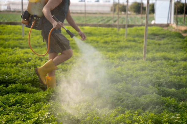 Reliable Lake St Louis, MO Pest Control Solutions