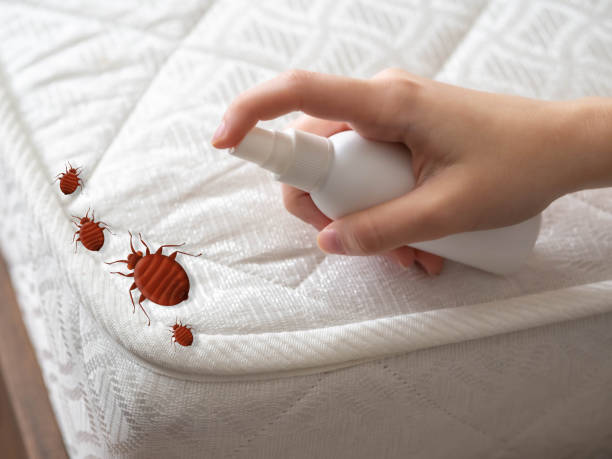 Best Pest Prevention Services  in Lake St Louis, MO
