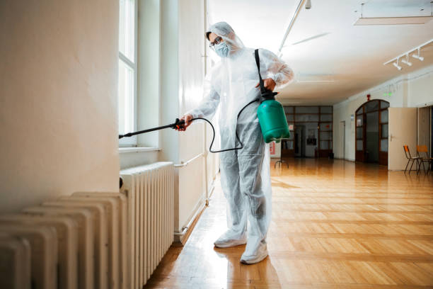 Best Local Pest Control Services  in Lake St Louis, MO