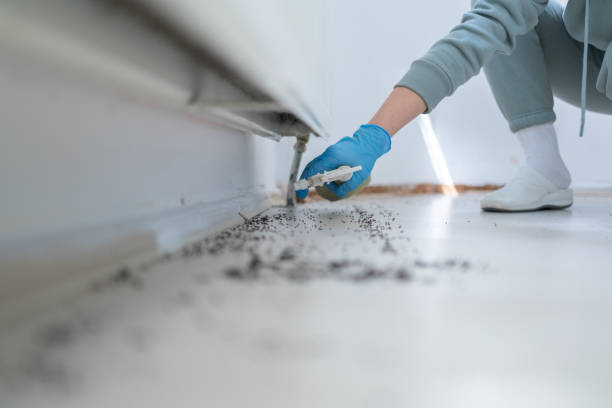 Pest Control for Restaurants in Lake St Louis, MO