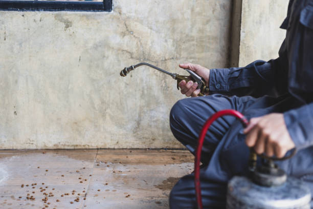 Best Best Pest Control Companies  in Lake St Louis, MO